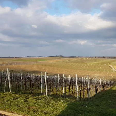 Sonnenberg Comfortable Casa vacanze *