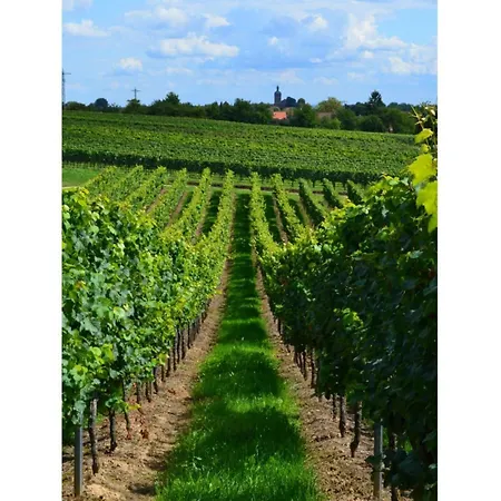 Sonnenberg Comfortable Casa vacanze *