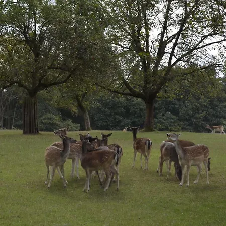 Sonnenberg Comfortable Casa vacanze *