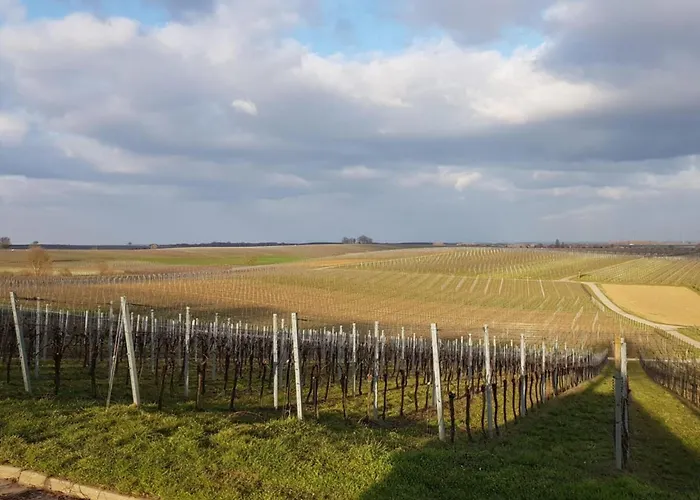 Sonnenberg Comfortable Holiday home *