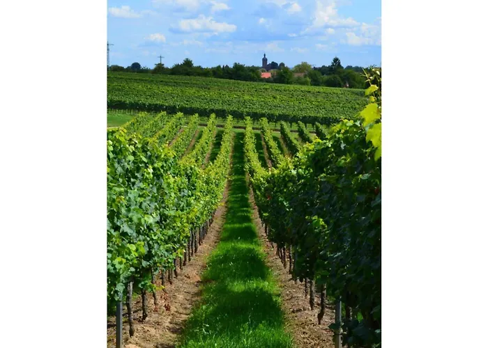 Sonnenberg Comfortable Holiday home *