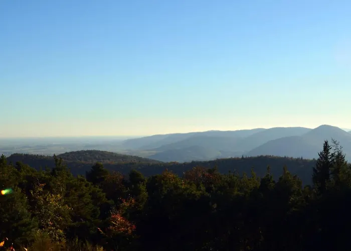 Sonnenberg Comfortable 펜션 실즈