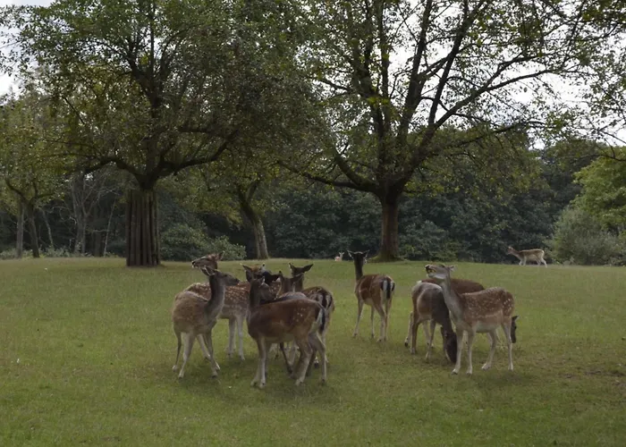 Sonnenberg Comfortable 펜션 *